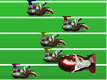 Badger Racing